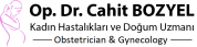 Diş Hekimi Mustafa Alper Kul